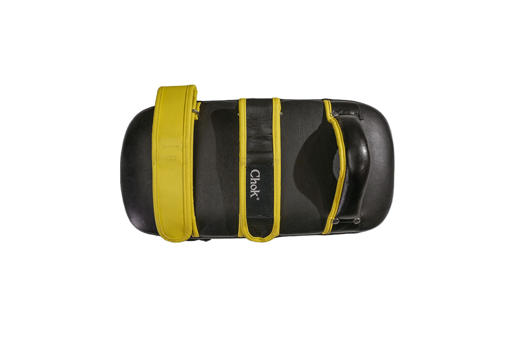 tag thai pads – pro training edition